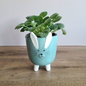 Cute planter/cover pot.